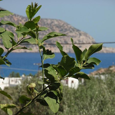 Vardes Hotel Studios Amoopi Dış mekan fotoğraf